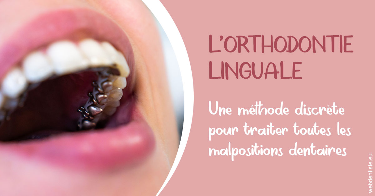 https://dr-pissis-patrick.chirurgiens-dentistes.fr/L'orthodontie linguale 2