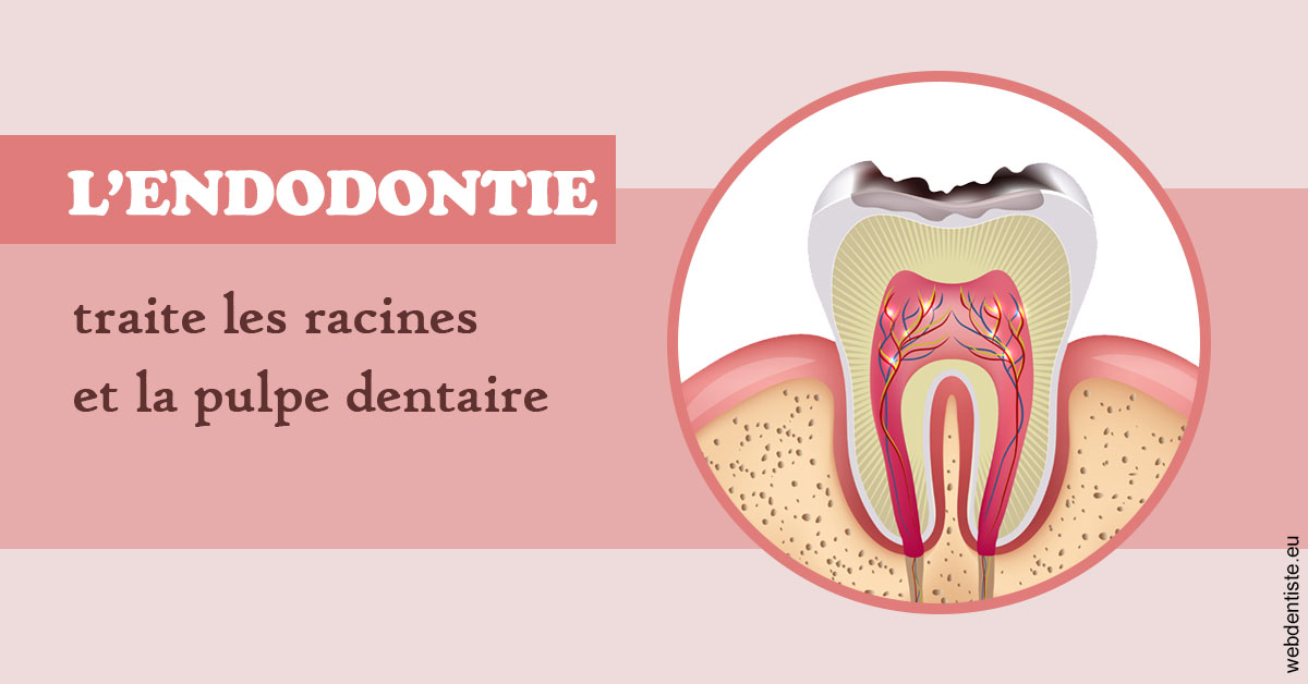 https://dr-pissis-patrick.chirurgiens-dentistes.fr/L'endodontie 2