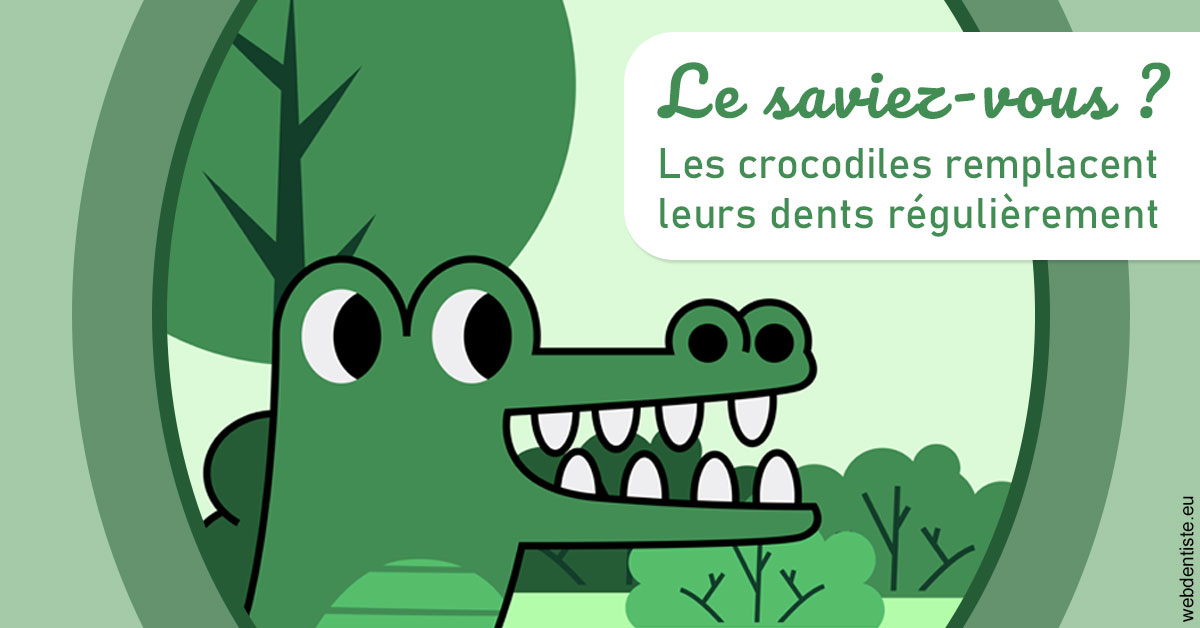 https://dr-pissis-patrick.chirurgiens-dentistes.fr/Crocodiles 2